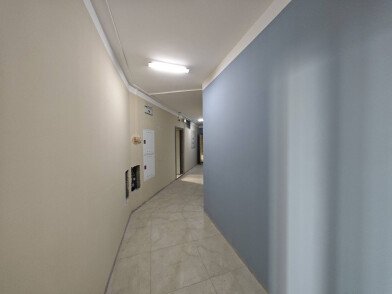 IMG_20240730_113035.JPG