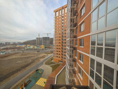 IMG_20241225_105310.JPG