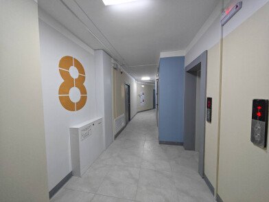 IMG_20241225_105707.JPG