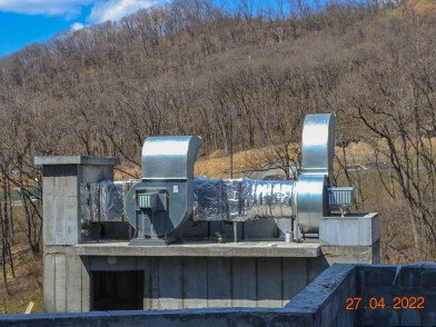 DSC_3148.JPG