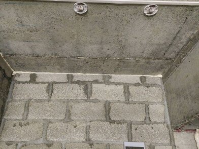 20220924_124719.JPG