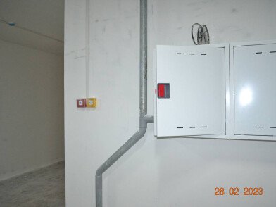 DSC_4393.jpg